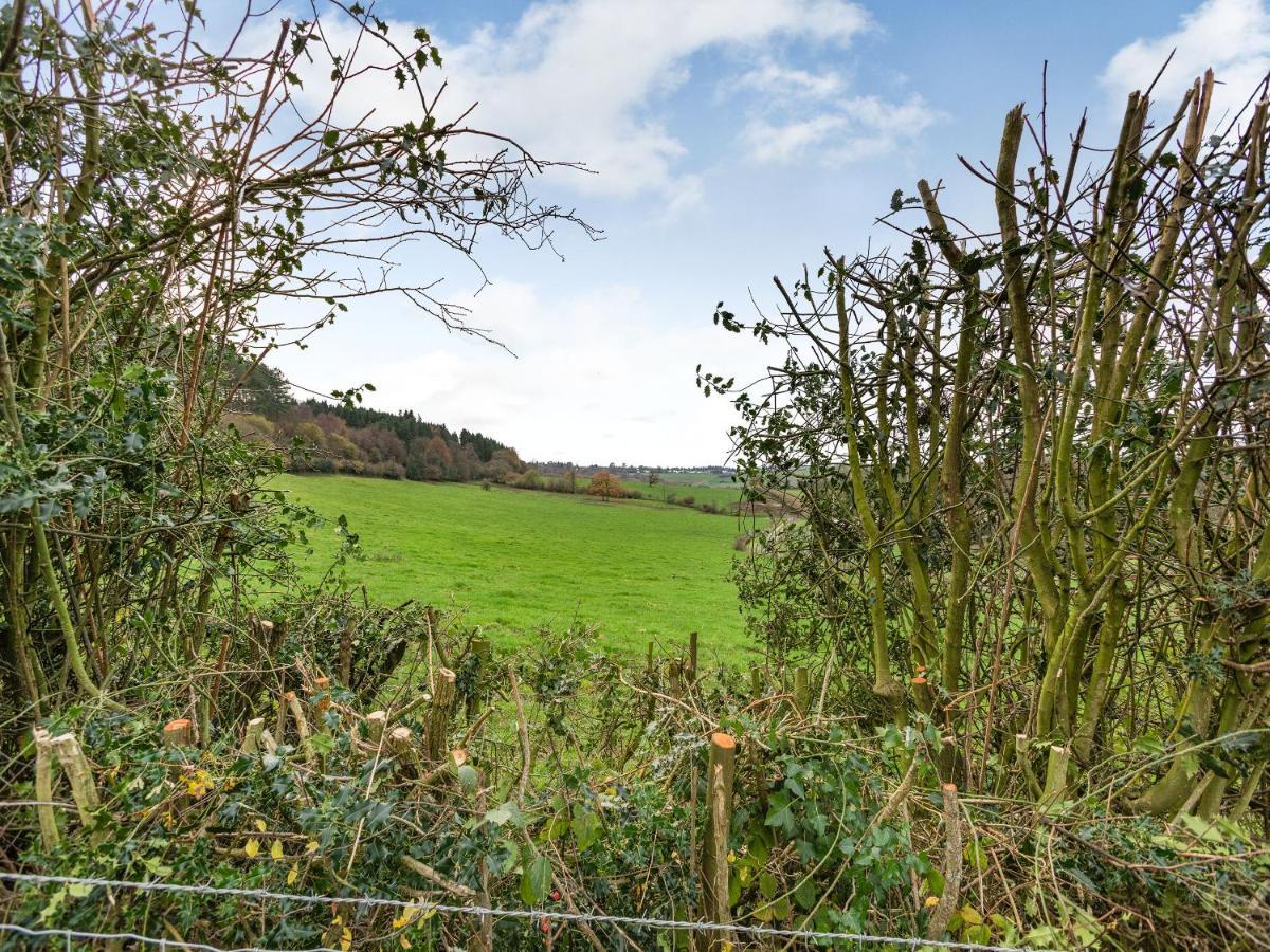 Vila Hoarthorns Hideaway - Uk41687 Coleford  Exteriér fotografie